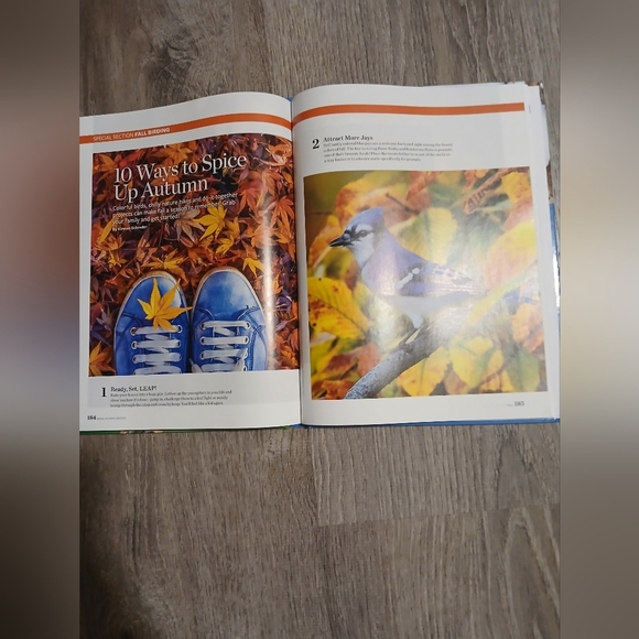 'Birds in Every Season' Book - By Birds And Bloom. 300+ Bird Photos. - Picture 7 of 7